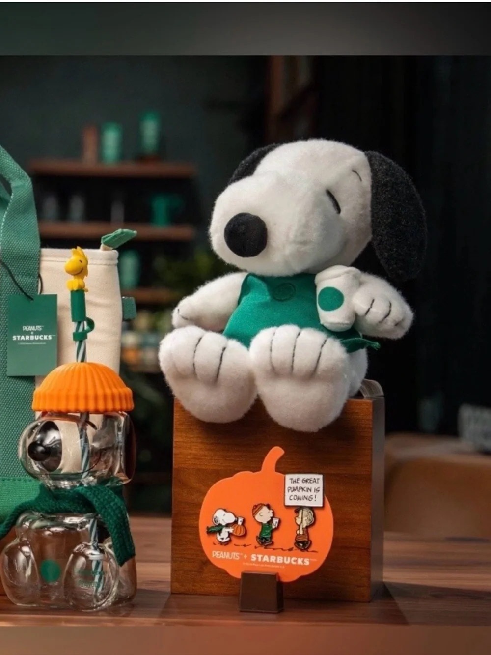 Starbucks Bundle Snoopy peanuts glass tumble, Snoopy Plush barista & pins